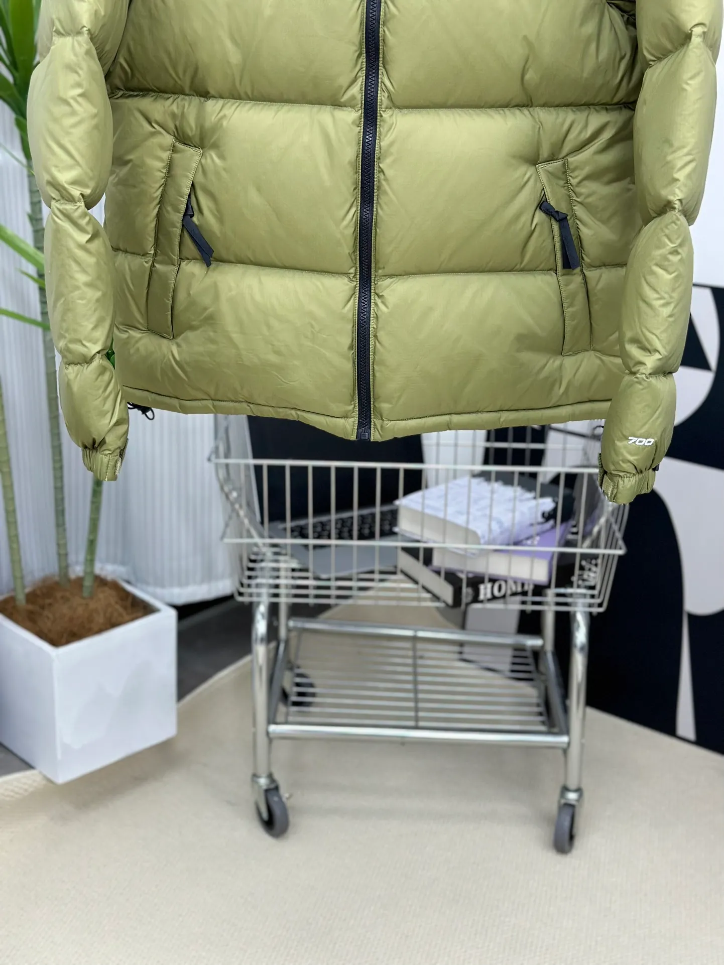 Style No.: Y 73 P250💰 Top 🔝 𝗧𝗵𝗲 𝗡𝗼𝗿𝘁𝗵 𝗙𝗮𝗰𝗲/𝟭𝟵𝟵𝟲 North Face Down Jacket [Matcha Green] Size: XS S M L XL XXL